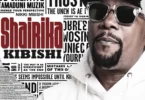 Nikki Mbishi Ft. AY – Mali Safi (Official Audio Cover 2026)