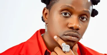 Rayvanny – Touch (Official Audio Cover 2026)