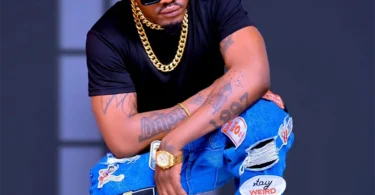 Robytone – Chini Ya Ulinzi (Official Audio Cover 2026)