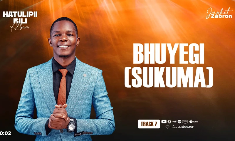 Japhet Zabron - Bhuyegi [Sukuma] (Official Audio Cover 2026)