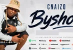 C Naizo - Byshow (Official Audio Cover 2026)