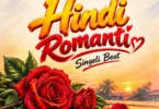 DJ Don Touch - Hindi Romantic Singeli Beat (Official Audio Cover 2026)