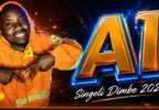 DJ One Tz - AI Dimbe Singeli Beat (Official Audio Cover 2026)