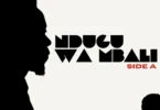 Dizasta Vina – Ndugu wa mbali (Side A) (Off)icial EO cOVER 2026