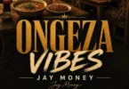 Jay Money - Ongeza Vibes (Official Audio Covr 2026)