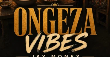 Jay Money - Ongeza Vibes (Official Audio Covr 2026)