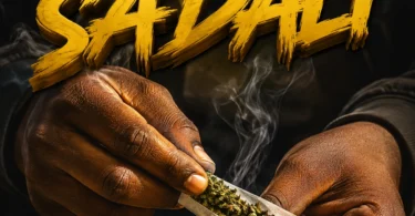 Jeshi Fighter - Sadali (Official Audio Cover 2026)