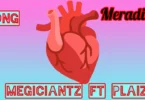 Megiciantz Ft. Plaizo - Meradry *Official Audio Cover 2026)