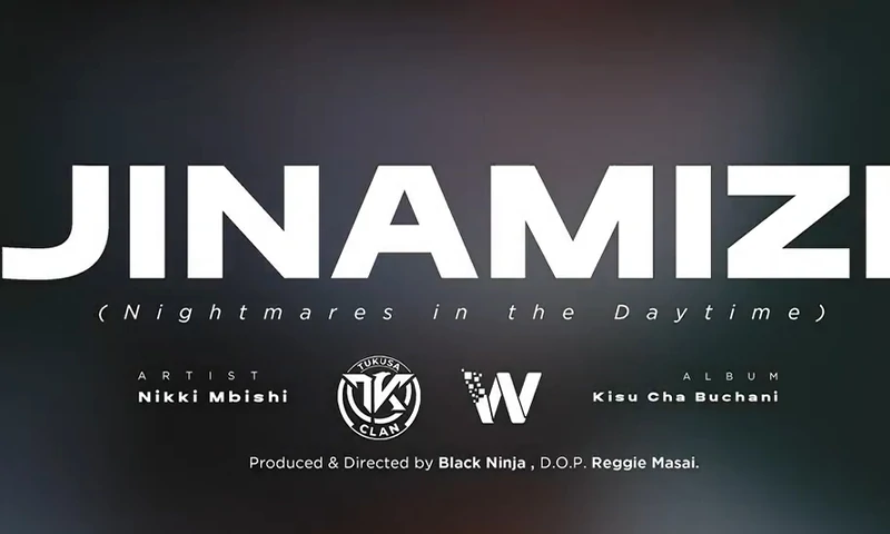 Nikki Mbishi- Jinamizi (Official Audio Cover 2026)