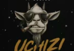 Salu Bee Ft. Nuayra - Uchizi (Official Audio Cover 2026)