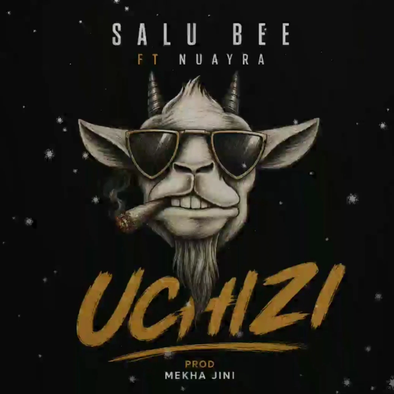Salu Bee Ft. Nuayra - Uchizi (Official Audio Cover 2026)