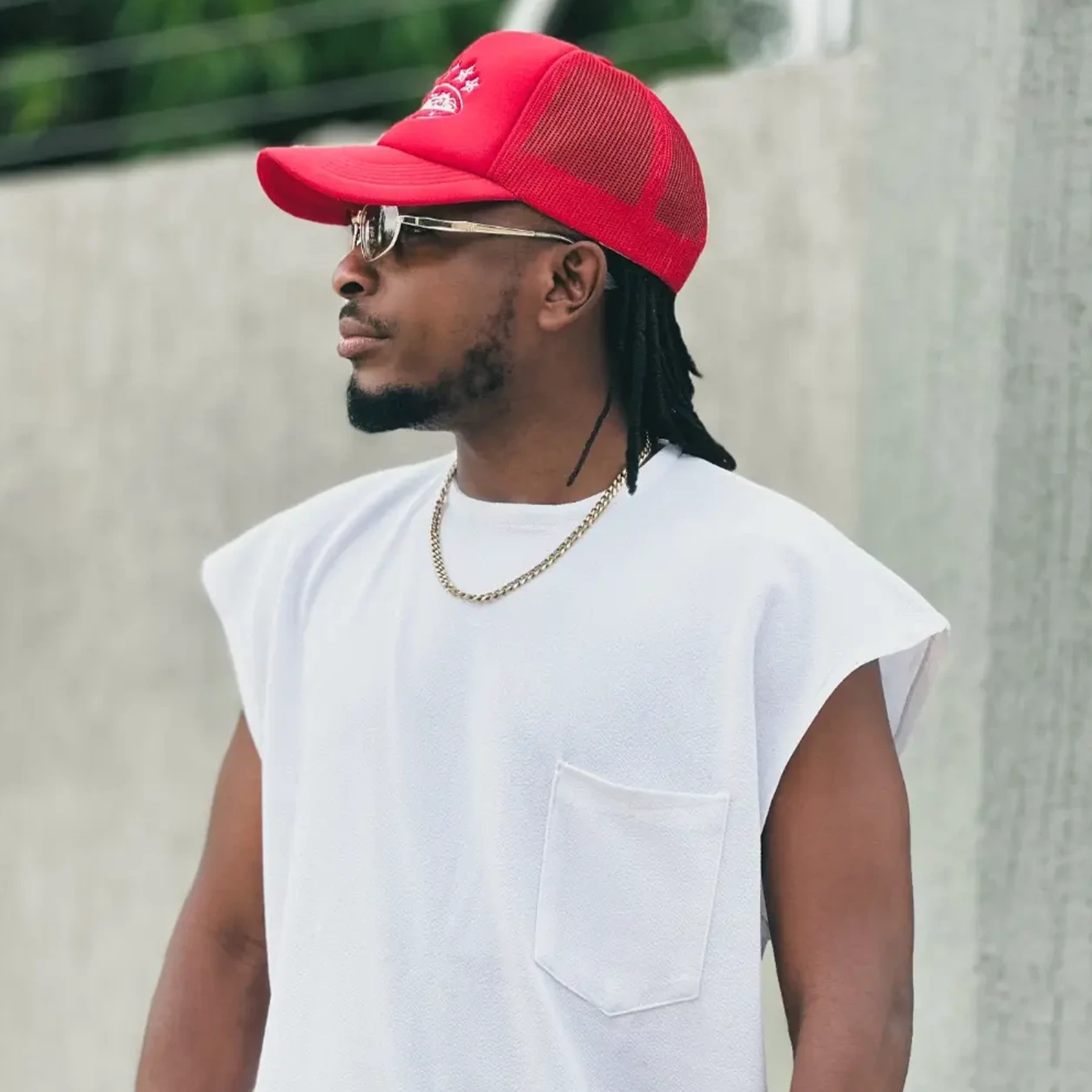 Sani Boy – Wololo (Official Audio COver 2026)
