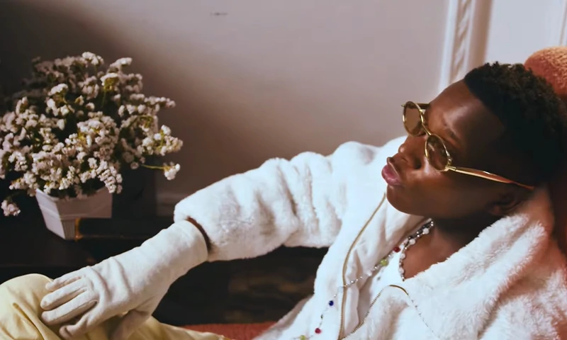 VIDEO Founder TZ – Shemeji (Official Video Cover 2026)