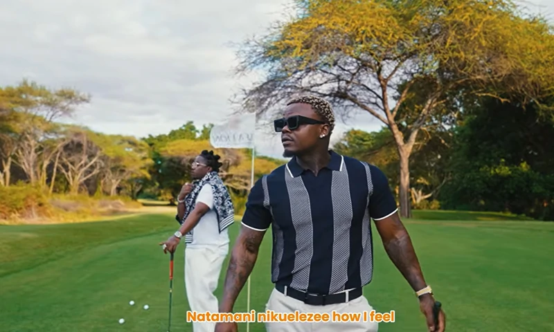 VIDEO Harmonize Ft Rayvanny – Siwezi (Official Video Cover 2026)