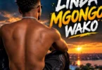 Asake Wabongo - Linda Mgongo Wako (Official Audio Cover 2026)