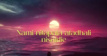 B2K Mnyama- Na Mimi (Official Audio Cover 2026)