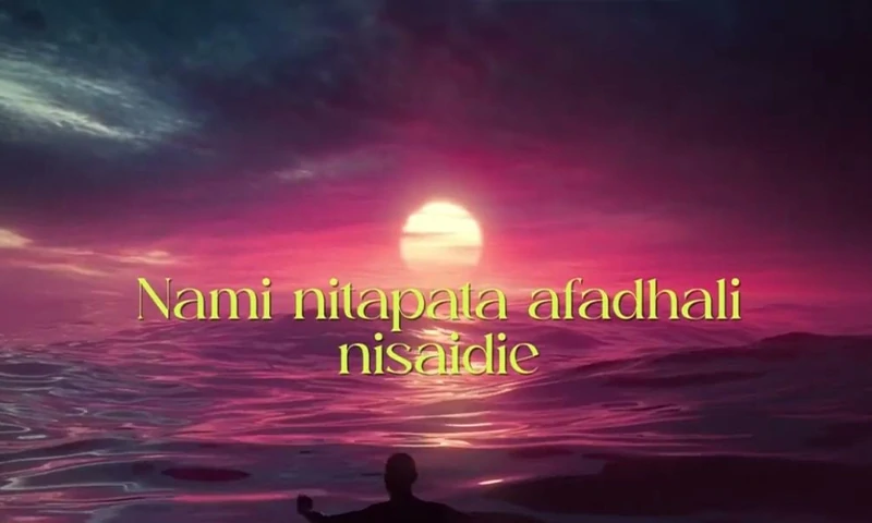 B2K Mnyama- Na Mimi (Official Audio Cover 2026)