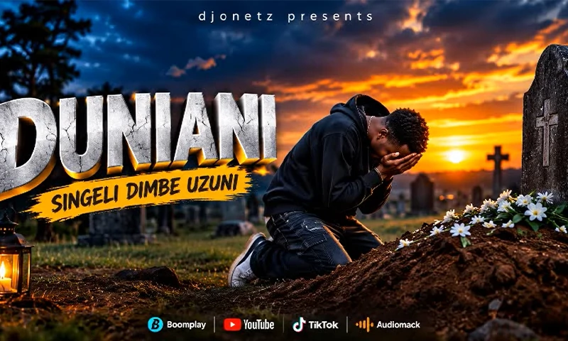 DJ One Tz - Duniani Tunapita Dimbe Singeli Beat (Official Audio COver 2026)