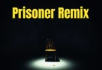 Dege Mc ft. Wizzy MP – Prisoner (Remix) (Official Audio Cover 2026)