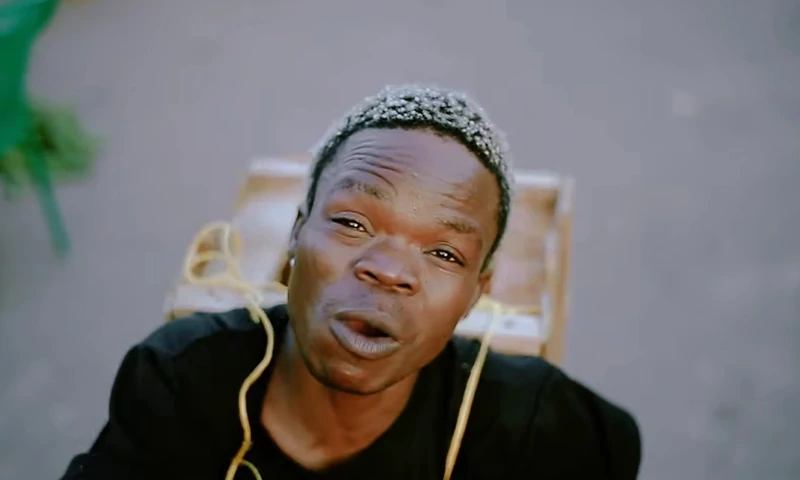 Harmorapa – LINDA MGONGO WAKO (Official Audio COver 2026)