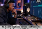 Je, msanii akighushi namba za streams na views, bado anastahili kuitwa msanii aliyefanikiwa
