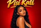 KV Star - Pisi Kali (Official Audio Cover 2026)