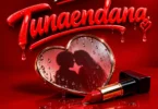 KV Star - Tunaendana (Official Audio Cover 2026)