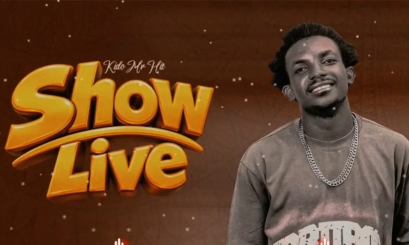Kidochu Mc - Show Live Sinza Mori (Official Audio Cover 2026)