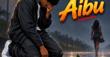 Meddy Izo - Aibu (Official Audio Cover 2026)