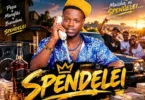 Pato mc – Sipendelei (Official Audio Cover 2026)