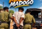 Shaki Melody Ft. Karani Mc - Mambo Madogo (Official Audio Cover 2026)