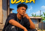 Shaki Melody - USELA (Official Audio Cover 2026)