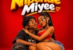 Sibbo Ft. Cheni Geni - Nipende Miyee (Official Audio Cover 2026)