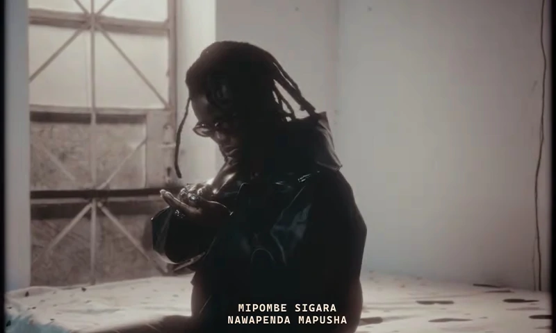 VIDEO Saluh Ft. Whozu – Mpepe (Official Video Cover 2026)