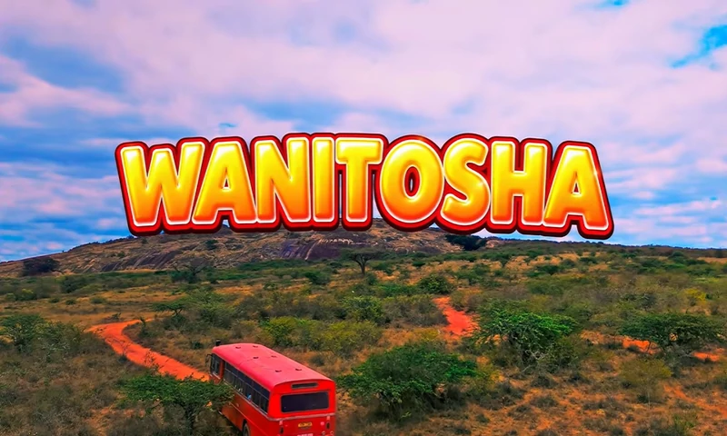 Wapendwa Muziki Ft David Bongo – Wanitosha (Official Audio COver 2026)